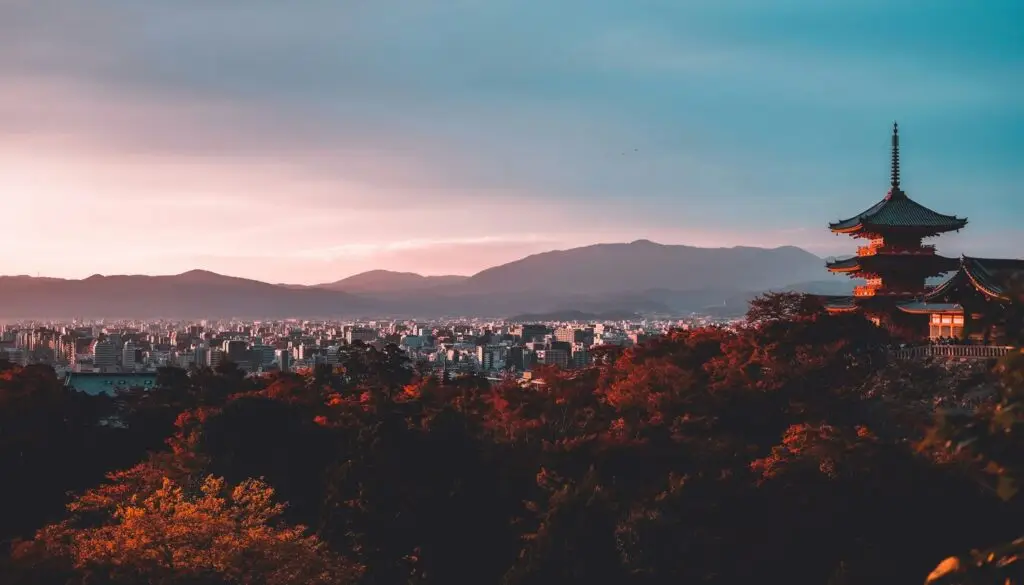 su san lee e ewwm29wfu unsplash (1)